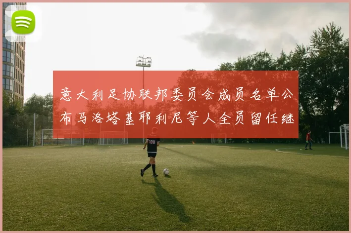 意大利足协联邦委员会成员名单公布马洛塔基耶利尼等人全员留任继续服务