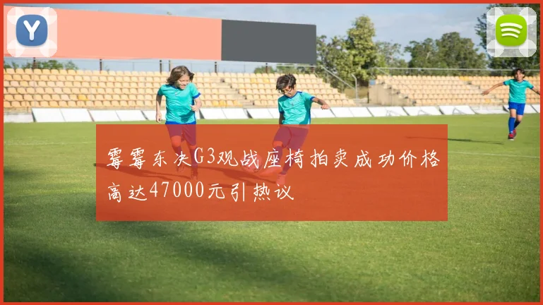 霉霉东决G3观战座椅拍卖成功价格高达47000元引热议