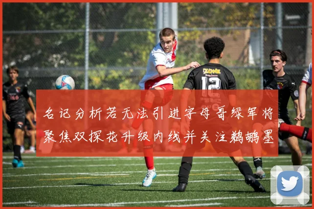 名记分析若无法引进字母哥绿军将聚焦双探花升级内线并关注鹈鹕墨菲